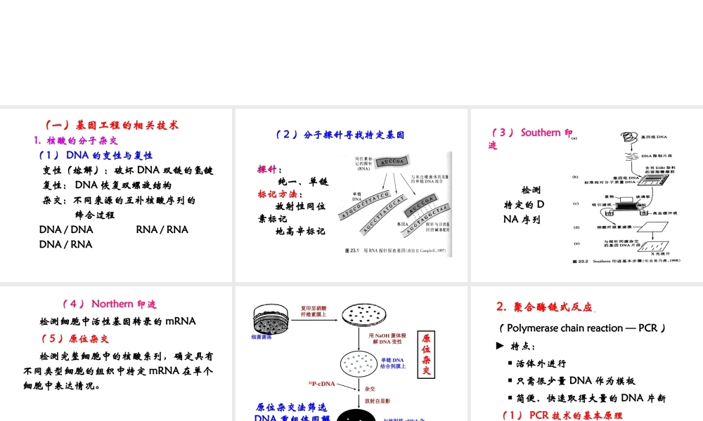 23 重组DNA技术.ppt
