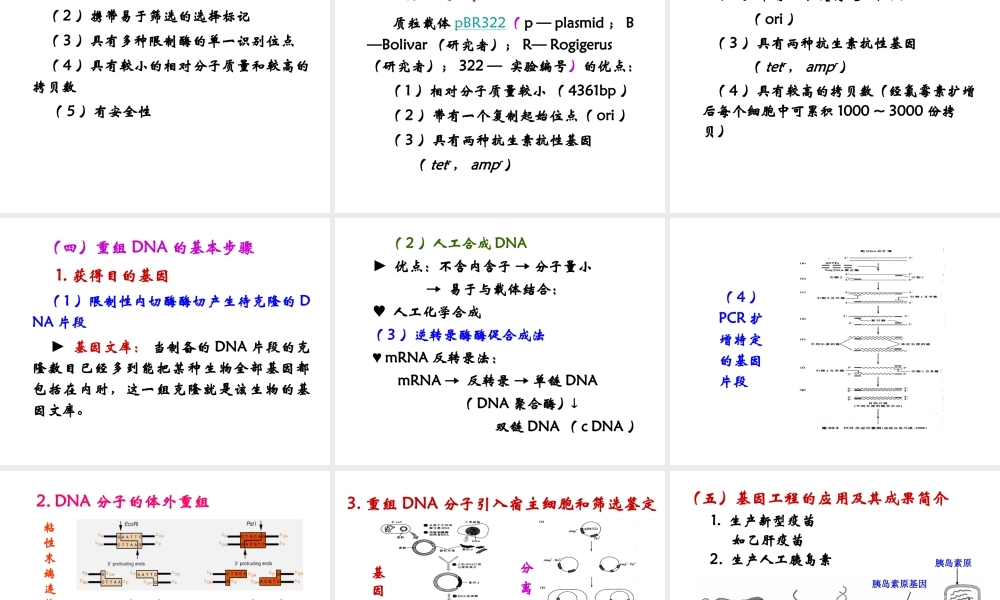 23 重组DNA技术.ppt