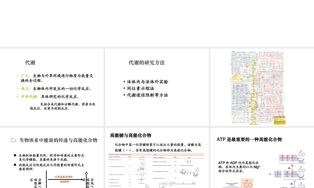 第五章 生物能学和生物氧化.ppt