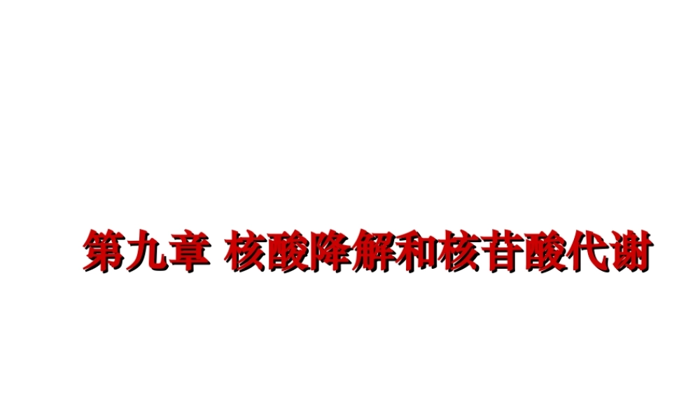 第九章 核酸降解和核苷酸代谢.ppt