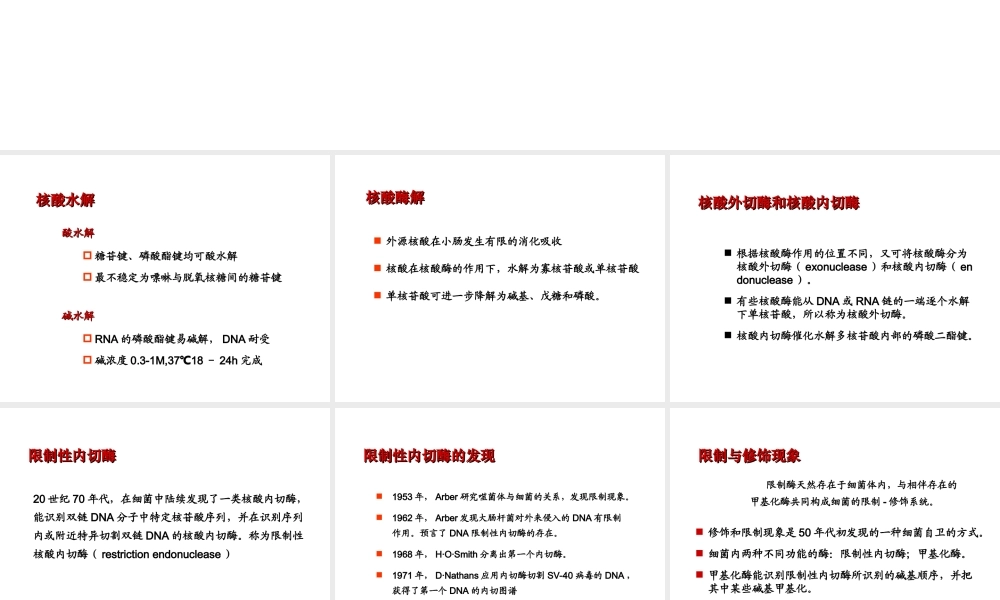 第九章 核酸降解和核苷酸代谢.ppt