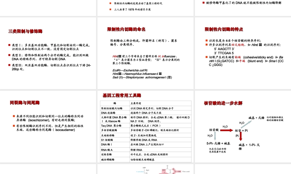 第九章 核酸降解和核苷酸代谢.ppt