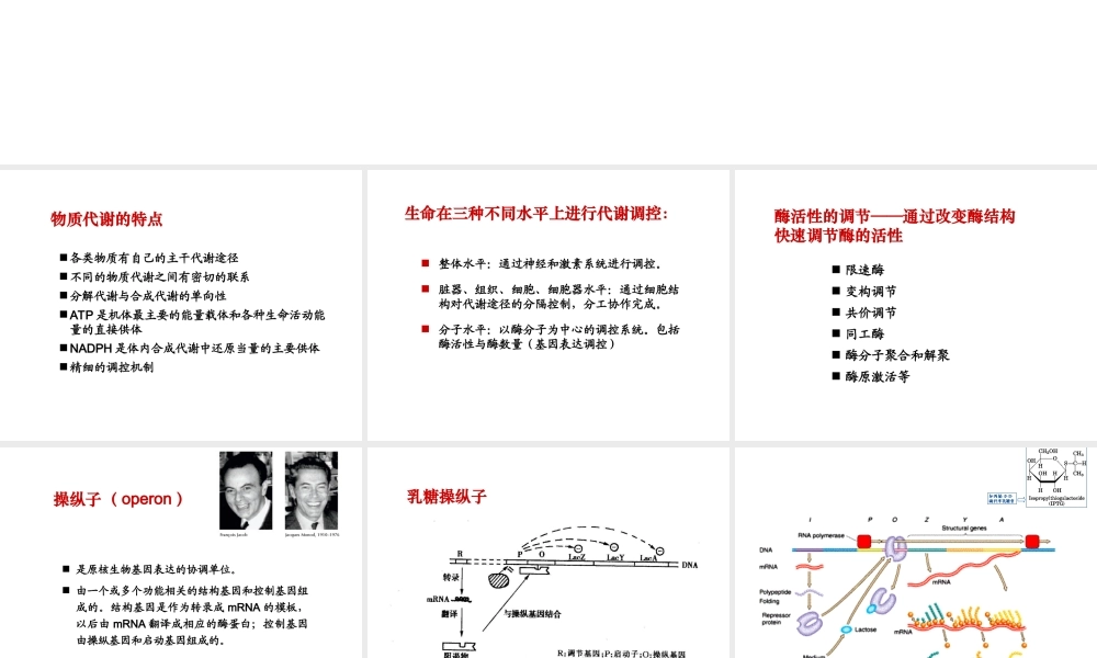 第十二章 细胞代谢和基因表达的调控.ppt