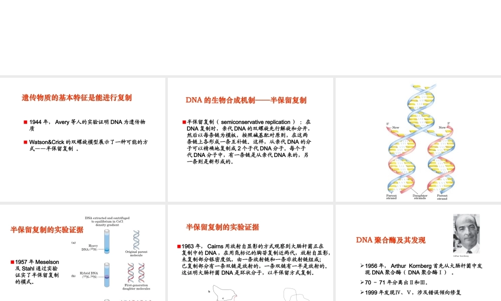 第十章 核酸的生物合成(生物系）.ppt
