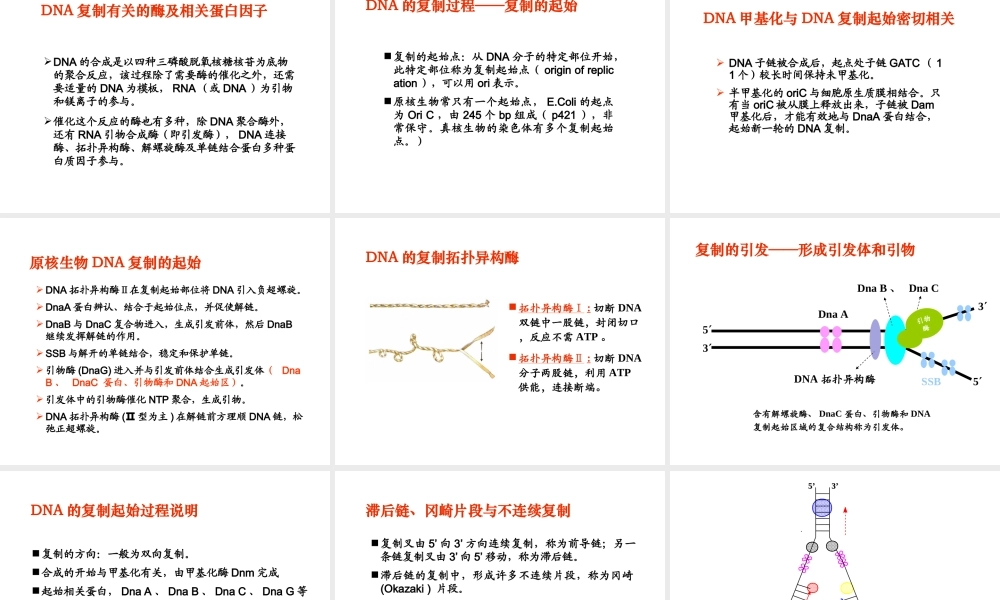 第十章 核酸的生物合成(生物系）.ppt