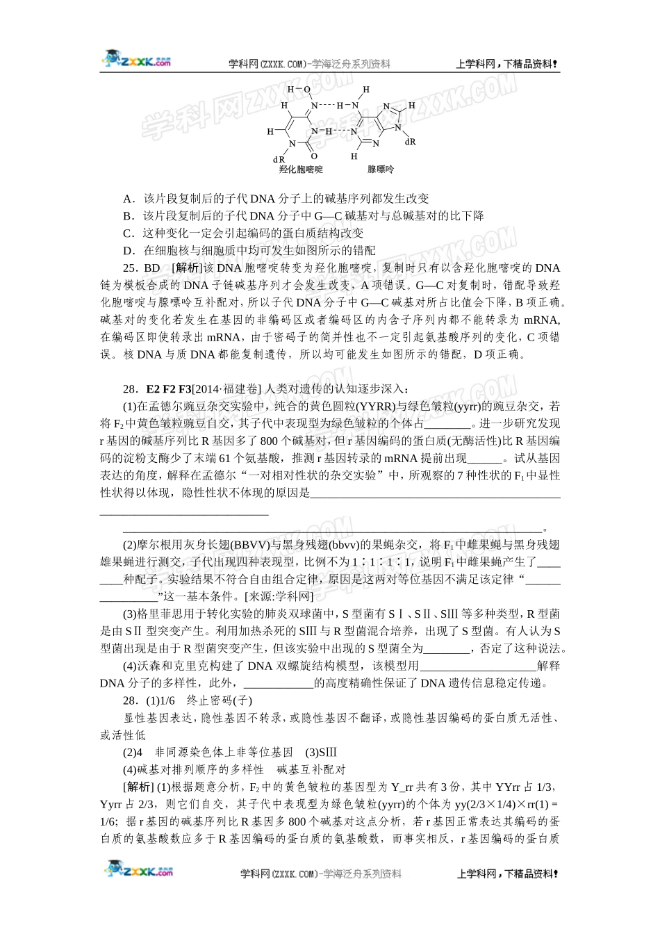2014年高考生物（高考真题+模拟新题）分类汇编：F单元遗传的分子（物质）基础.doc_第3页