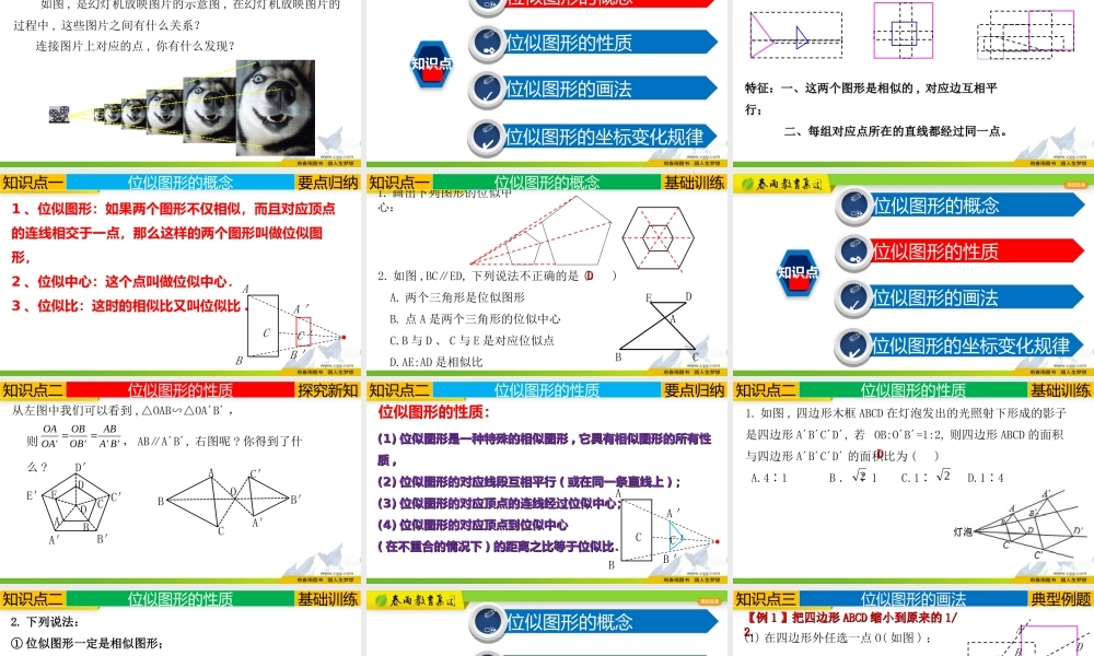 27.3 位似的概念及性质.ppt