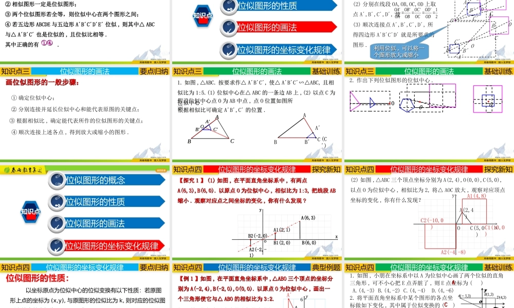 27.3 位似的概念及性质.ppt