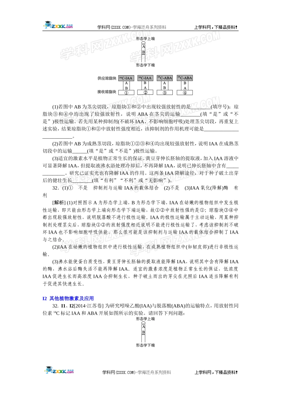 2014年高考生物（高考真题+模拟新题）分类汇编：I单元植物的激素调节.doc_第3页