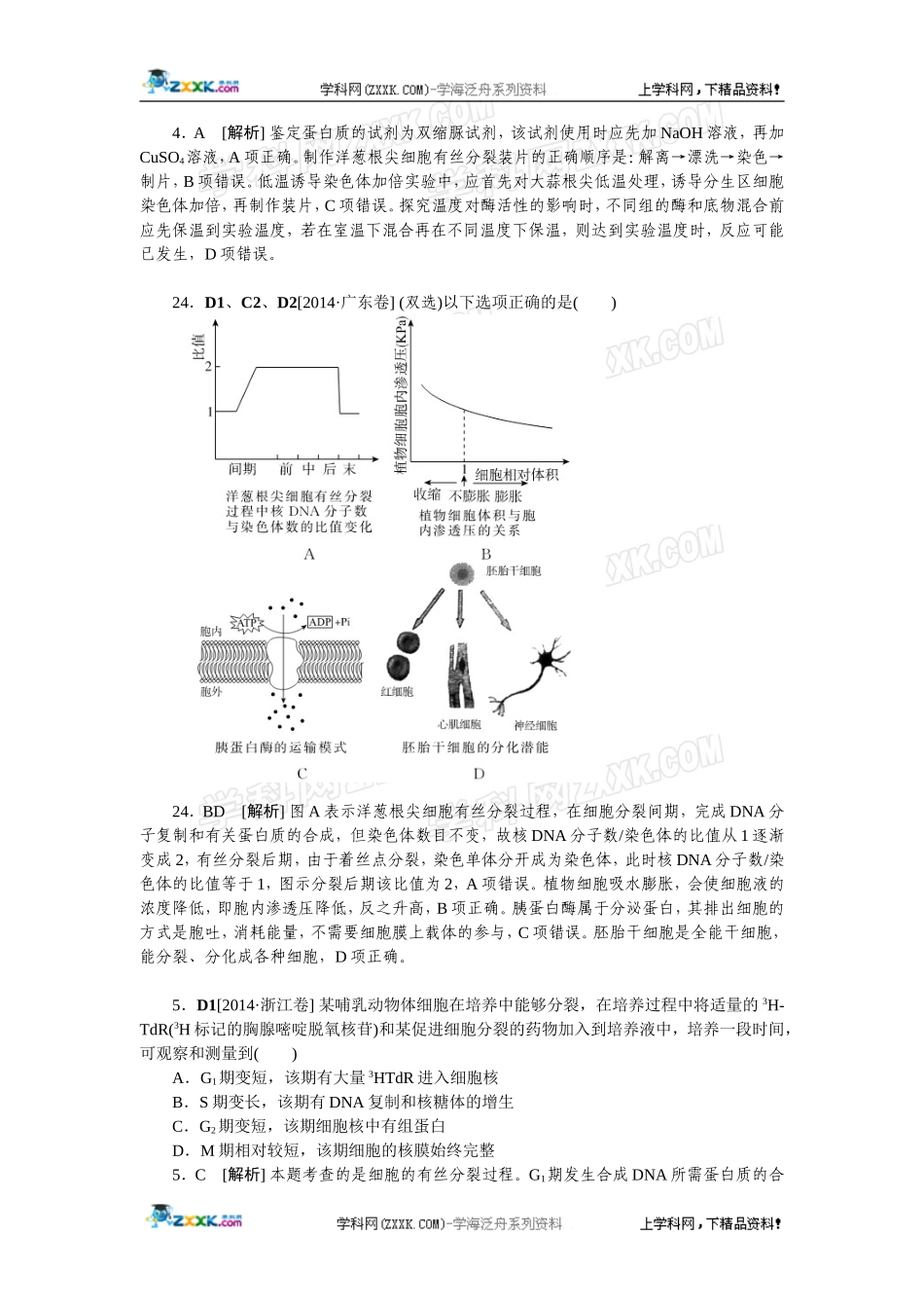 2014年高考生物（高考真题+模拟新题）分类汇编：D单元细胞的生命历程.doc_第2页