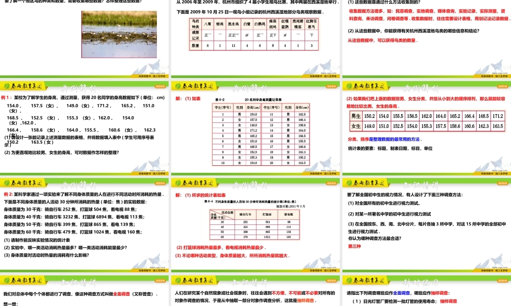 6.1 数据的收集与整理.pptx