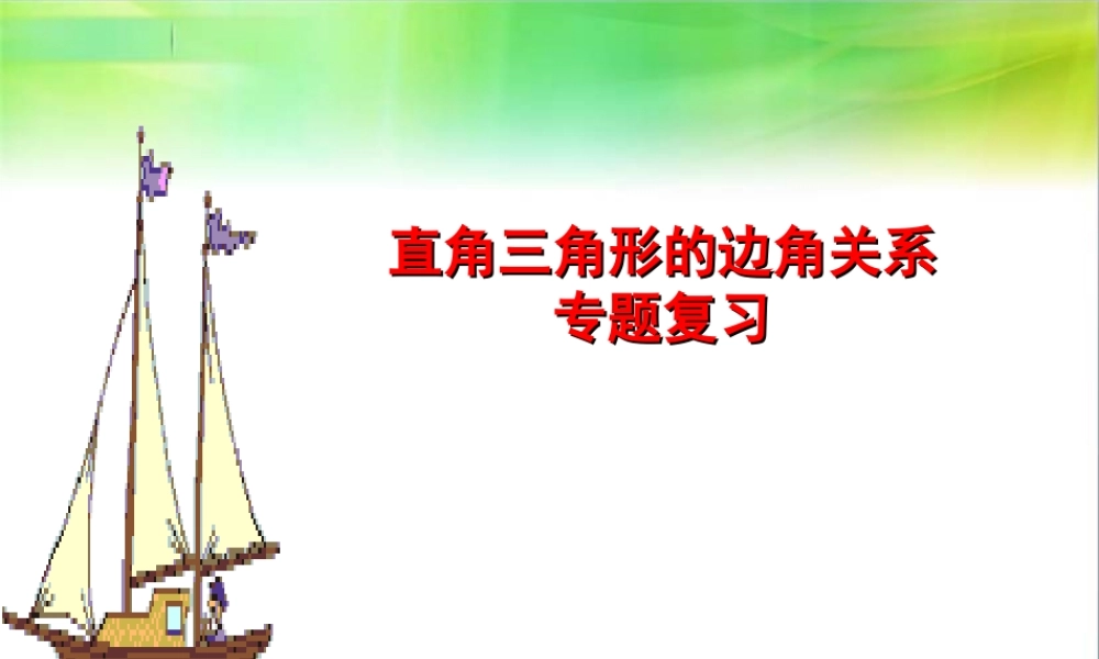 《直角三角形的边角关系》专题复习课件.ppt