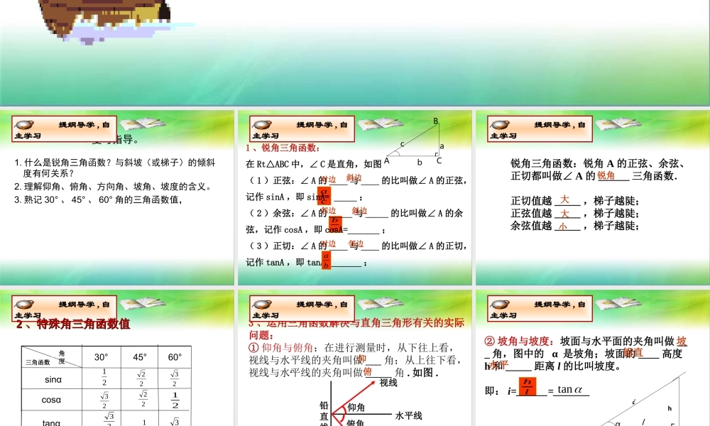 《直角三角形的边角关系》专题复习课件.ppt