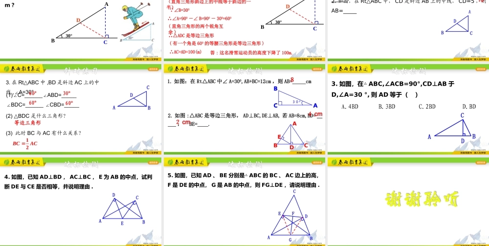 2.6.1 直角三角形及性质.pptx