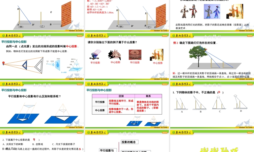 3.1.1 平行投影与中心投影.pptx