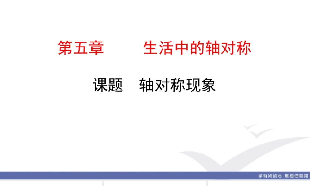 1. 课题　轴对称现象.ppt