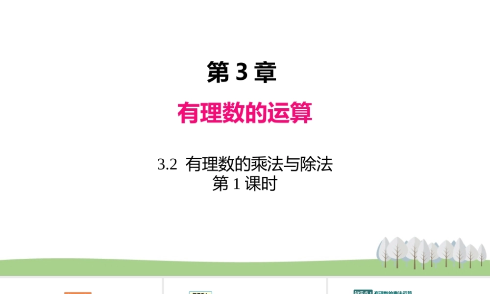 3.2 有理数的乘法与除法 第1课时.pptx