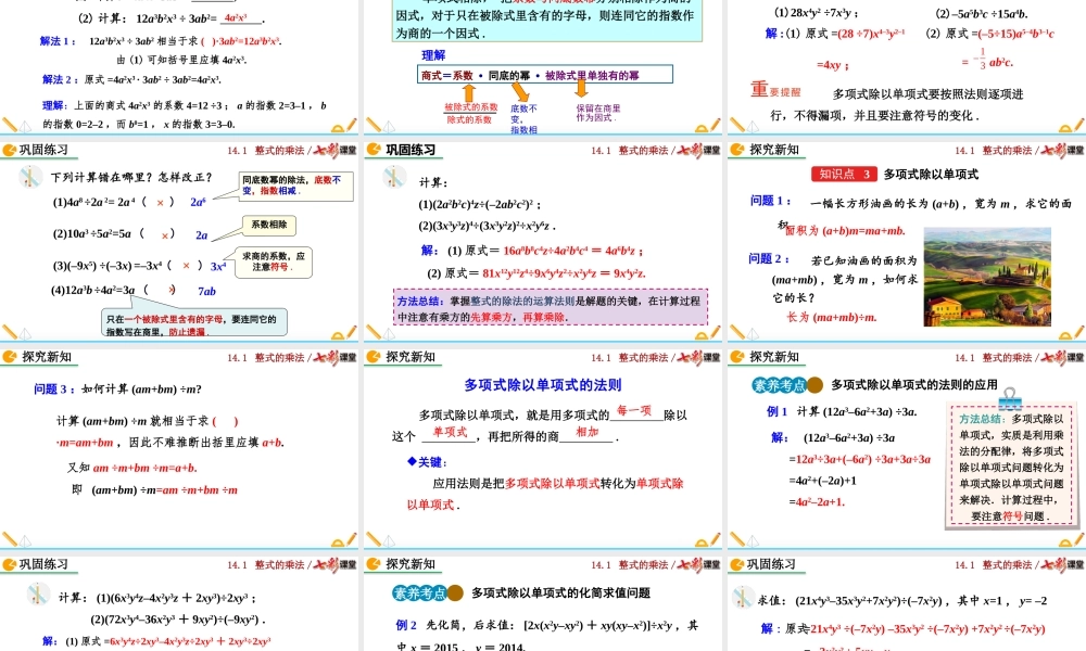 14.1.4 整式的乘法（第3课时）.pptx