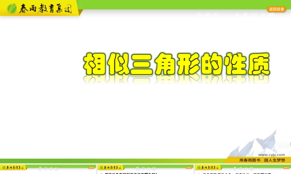4.5.1 相似三角形的性质.pptx