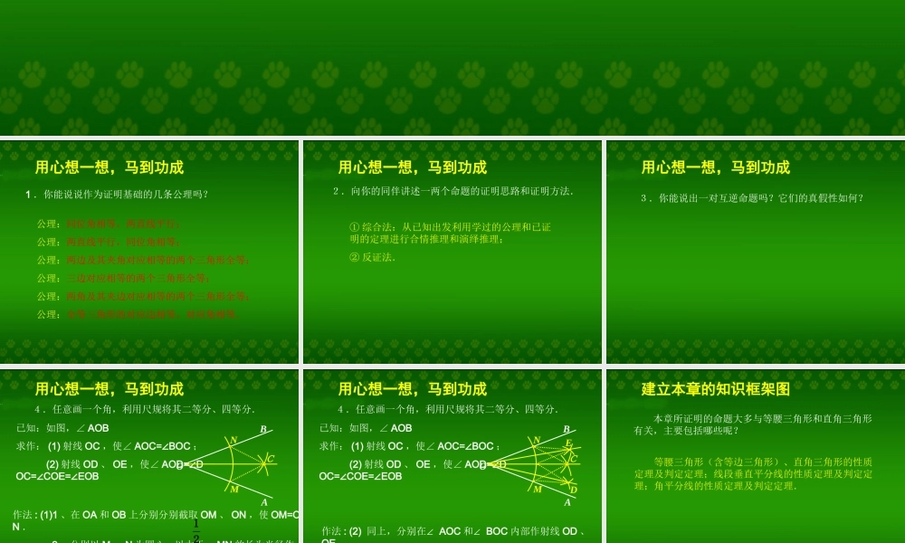 《三角形的有关证明》复习课件2.ppt