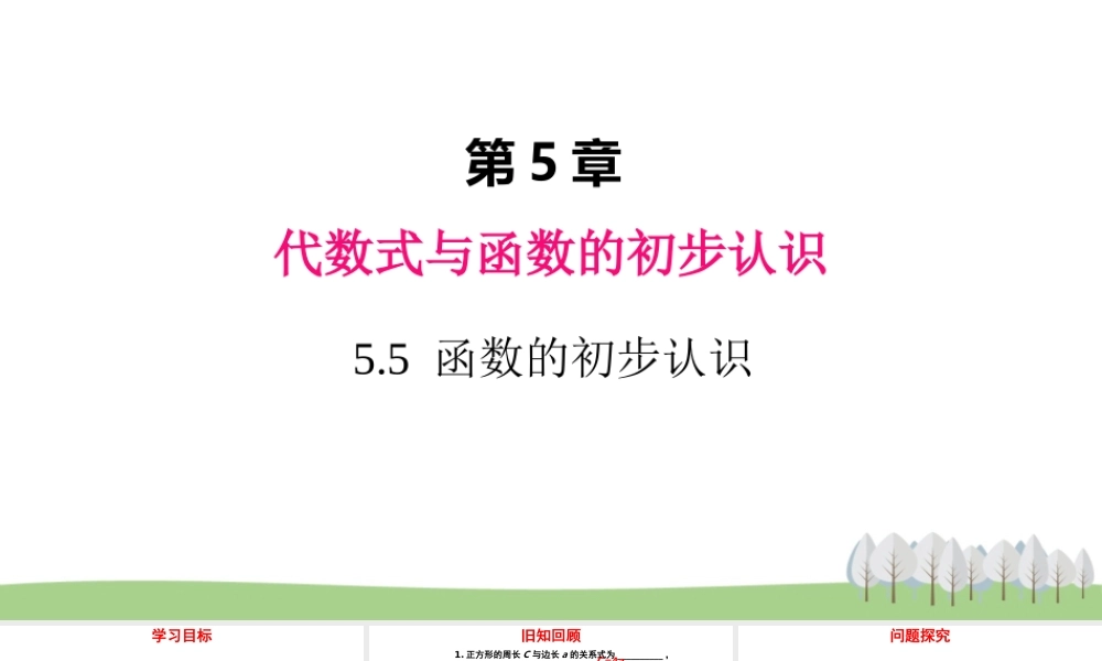 5.5 函数的初步认识.ppt