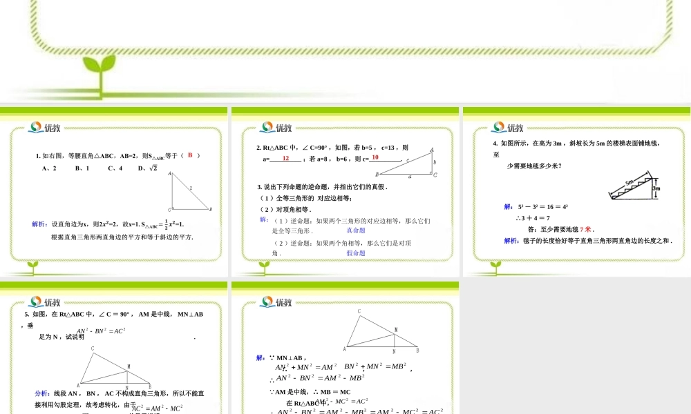 《直角三角形（第1课时）》即时练习1.ppt