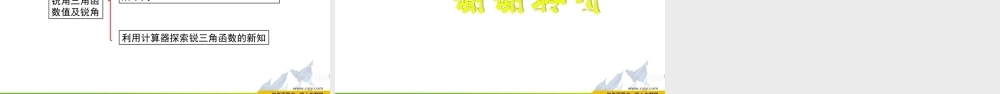 1.2 锐角三角函数的计算.pptx