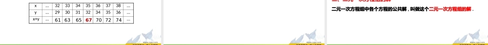 2.2 二元一次方程组.pptx