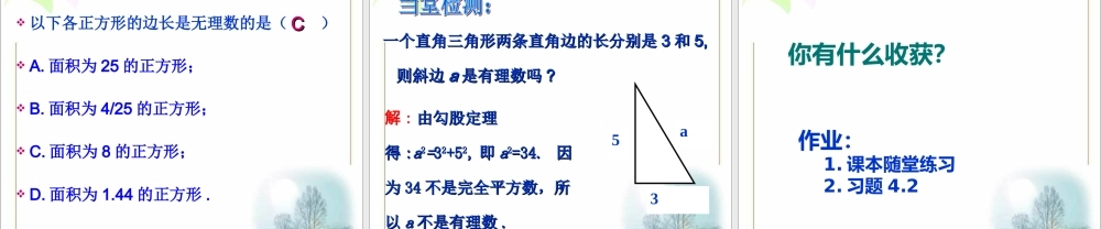 《无理数（2）》参考课件.ppt
