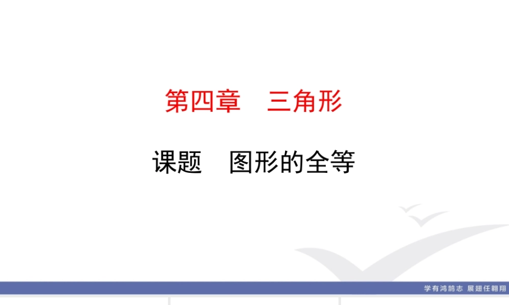 4. 课题　图形的全等.ppt