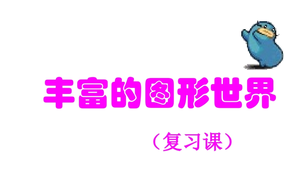 《丰富的图形世界》复习课件.ppt