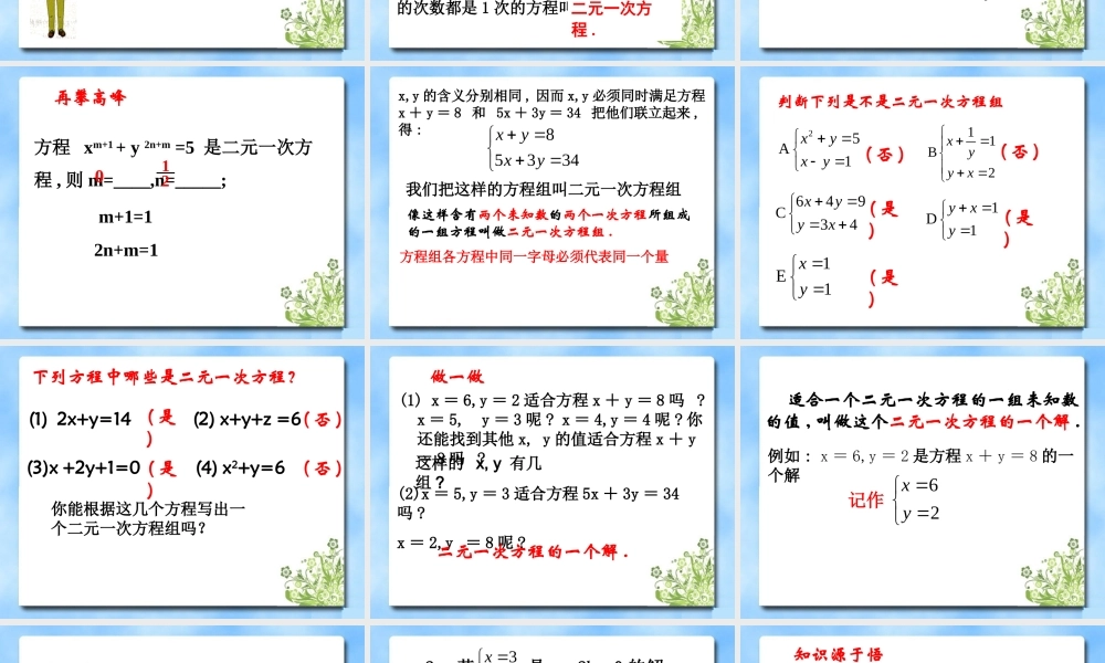 《二元一次方程组》参考课件1.ppt