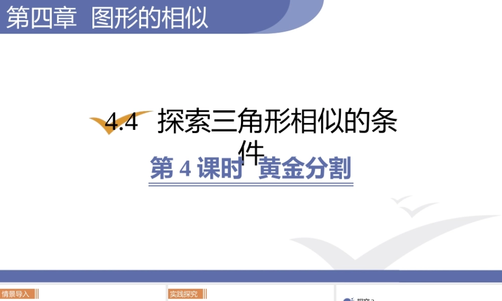 第4课时　黄金分割.pptx