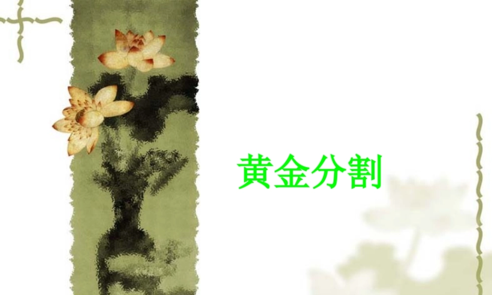 《黄金分割》参考课件.ppt