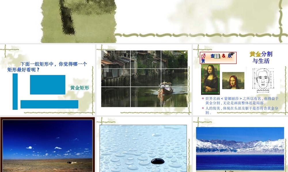 《黄金分割》参考课件.ppt