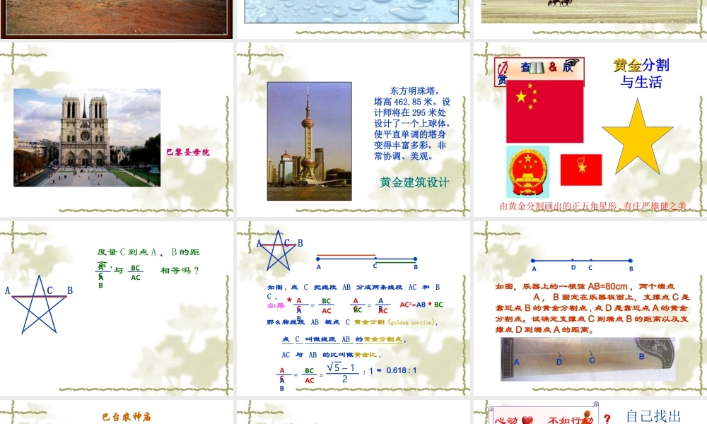 《黄金分割》参考课件.ppt