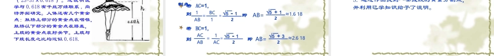 《黄金分割》参考课件.ppt