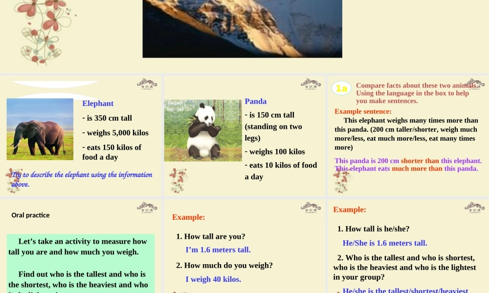 【金识源】八年级英语上册 Unit 5 what’s the highest mountain in the world？（第4课时）课件 .ppt