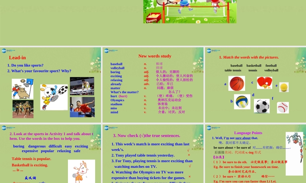 【倍速课时学练】八年级英语上册 Module 3 Unit 1 Nothing is more exciting than playing tennis课件 .ppt