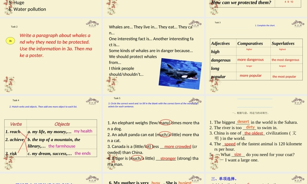 【金识源】八年级英语上册 Unit 5 what’s the highest mountain in the world？（第6课时）课件 .ppt