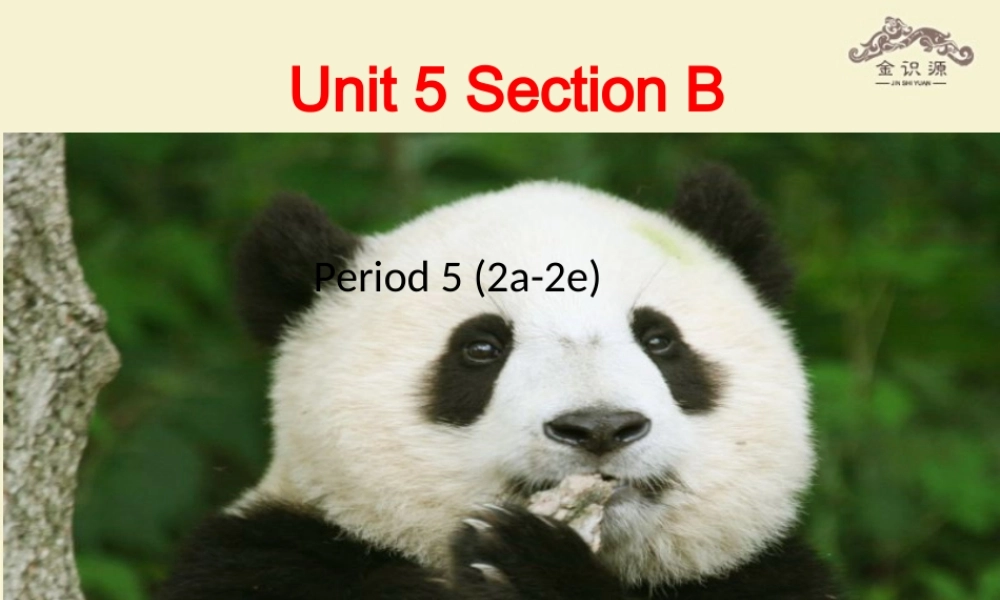 【金识源】八年级英语上册 Unit 5 what’s the highest mountain in the world？（第5课时）课件 .ppt