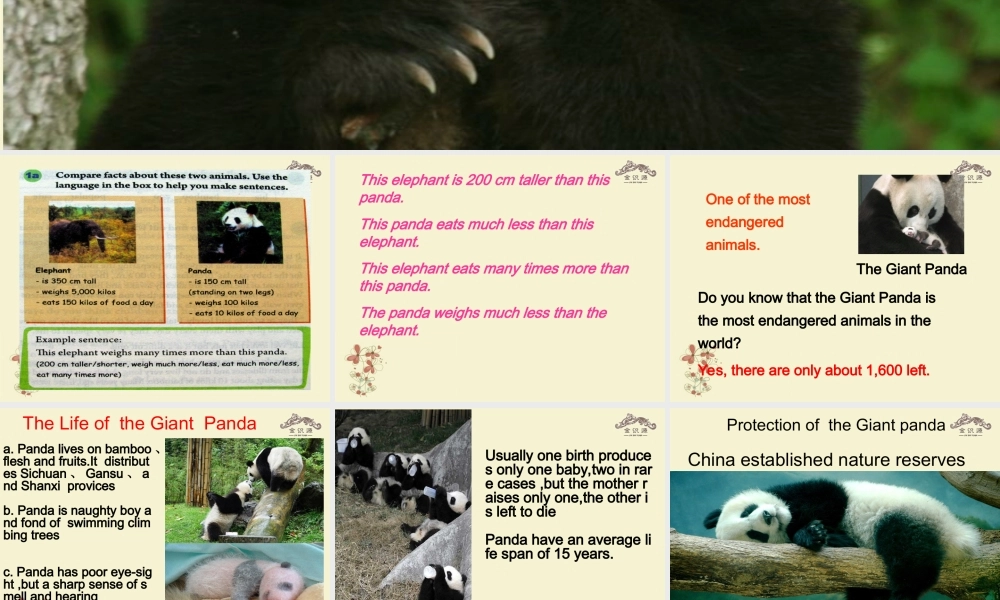 【金识源】八年级英语上册 Unit 5 what’s the highest mountain in the world？（第5课时）课件 .ppt