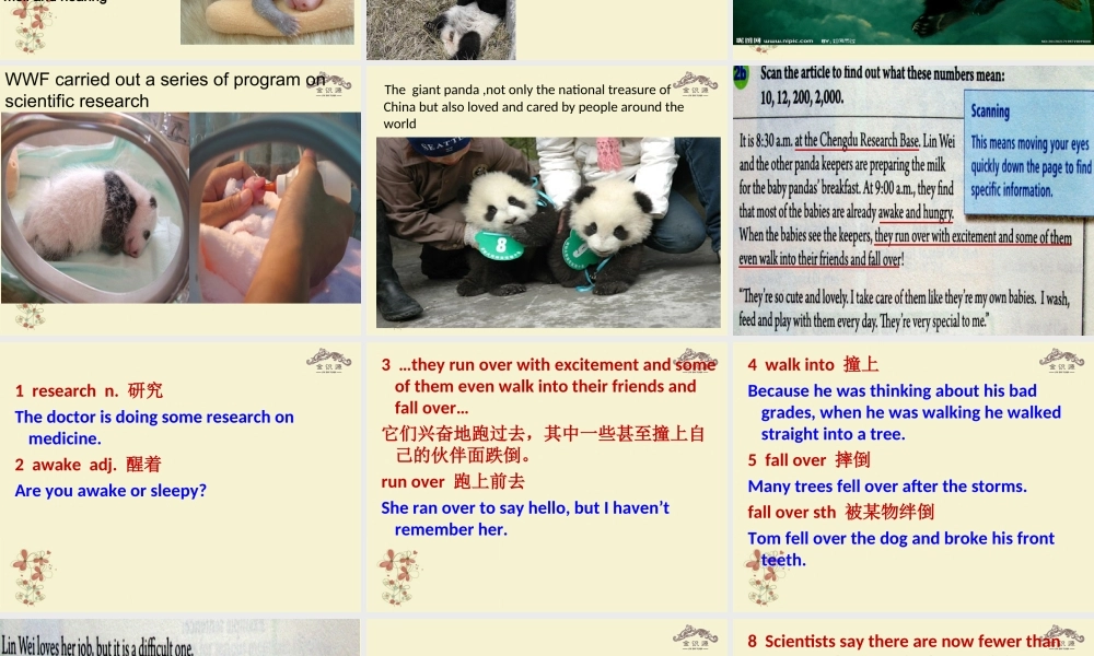 【金识源】八年级英语上册 Unit 5 what’s the highest mountain in the world？（第5课时）课件 .ppt