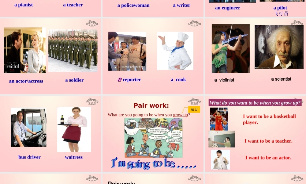 【金识源】七年级英语下册 Unit 2 I'm going to study computer science Section A(1a-2c)课件 .ppt