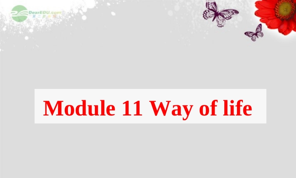 八年级英语上册 Module 11 Way of life Unit 2 In England, you usually drink tea with milk课件 .ppt