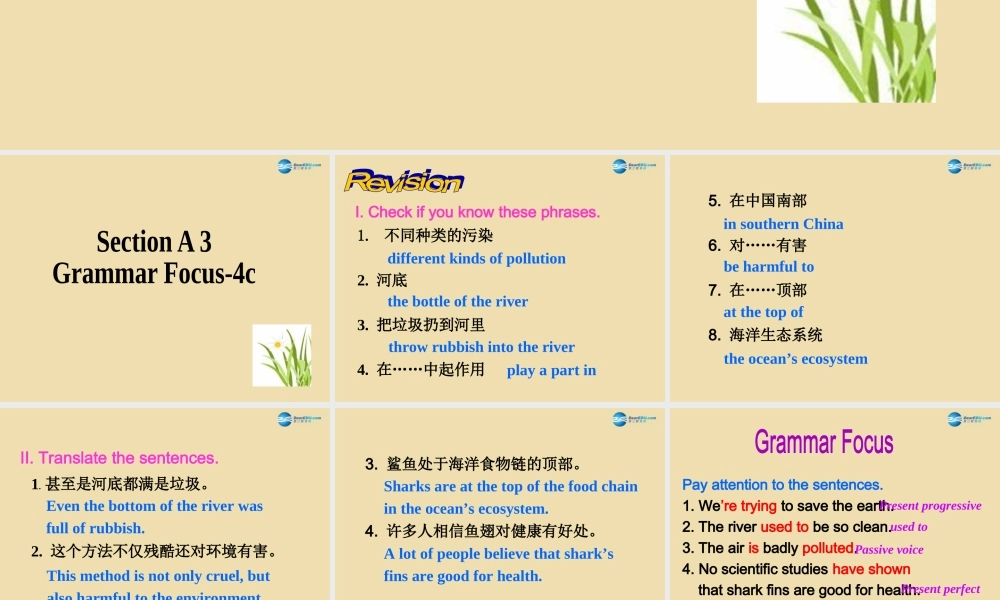 Unit 8 We’re trying to save the earth Section A（Grammar focus-4c）精品课件 .ppt