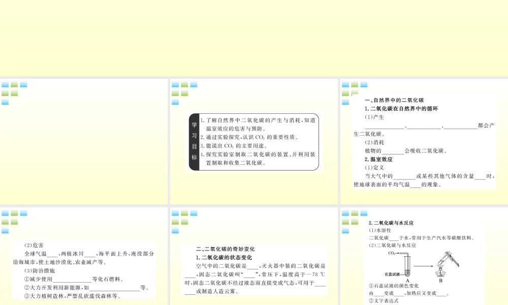 沪教初中化学九上《2第2节 奇妙的二氧化碳》PPT课件 (2).ppt