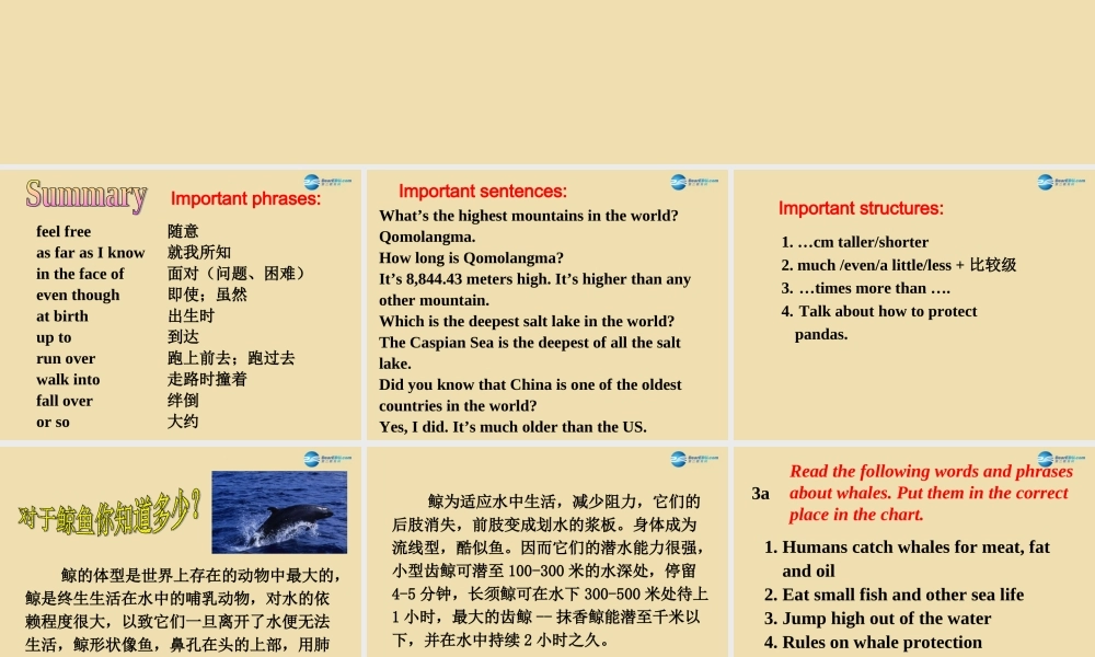 Unit 11 What’s the highest mountain in the world Section B（3a-Self check）精品课件 .ppt
