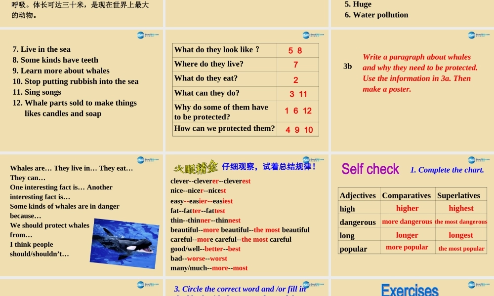 Unit 11 What’s the highest mountain in the world Section B（3a-Self check）精品课件 .ppt