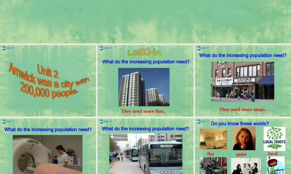 八年级英语上册 Module 9 Unit 2 Arnwick was a city with 200000 people课件1 .ppt